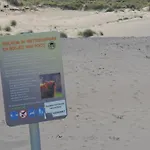 Appartement Sea & Dunes *