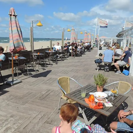 Sea & Dunes * Den Haag
